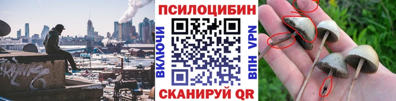 Галлюциногенные грибы GOLDEN TEACHER  Емва 